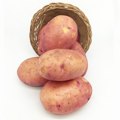 【包邮】云南红皮黄心非转基因小土豆5斤