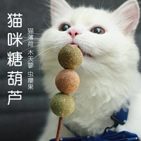 Чистая красная кошка сахарная тыква кошка мятный шарик закуски кошачьи деревянные 蓼 измельчающие зубы дразнящие игрушки, которые можно съесть
