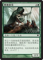 [Пекинская коробка] Mtg Wanzhi Yin Cui Innistrad Green Iron Forest Detective ISD