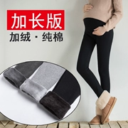 Bà bầu mặc quần legging mùa đông cộng với nhung nâng bụng dày dày Cao mặc cotton có thể điều chỉnh quần ấm