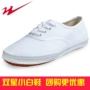 Thanh đảo đôi sao đích thực nữ giày vải nhỏ màu trắng giày với giày thể thao buổi sáng tập thể dục giày đào tạo giày người đàn ông trắng net giày thể thao puma