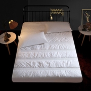 Giường bông 笠 độn bông chống trượt giường pad Simmons bông nệm bìa 1.5 m 1.8 m trải giường