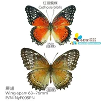 Пара Red Saw E-Batterfly Cethosia Biblis 63-76 мм Китай