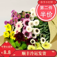 Маленькая ромашка мульти -колор подсолнечник духи лилия цветы Юннан Кунминг Воздушный транспорт.