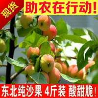 Шагуо северо -восточная бегония Го Гу Хуан Тайпинг сопоставим с фруктовой горой Dingzi Hawthorn Crispy 4 фунта бесплатной доставки SF