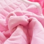 Tăng tấm trải giường cashmere pha lê lớn 3 m hai mặt mùa đông không trơn trượt 5 tấm thảm nhung nông thôn lớn - Trải giường bộ ga giường cao cấp