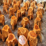 Rễ khắc phân gốc rễ cây hoa đứng cơ sở bàn cà phê phân gỗ khối gỗ thân cây gỗ cọc gỗ băng ghế ngồi - Các món ăn khao khát gốc