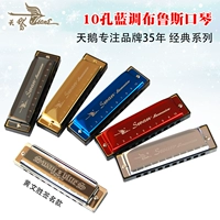 Swan blues Harmonica blues 10 mười lỗ cho người mới bắt đầu c Harmonica trẻ em học sinh trưởng thành nhạc cụ chuyên nghiệp - Nhạc cụ phương Tây trống lắc