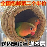 Травяная птичья гнездо пиони -тигр кожаная попугая птичья птица Жемчужное гнездо птичье гнездо