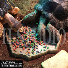 Аксессуары для рептилии abs 低边陆龟食盆食盘 陆龟蜥蜴等爬虫用