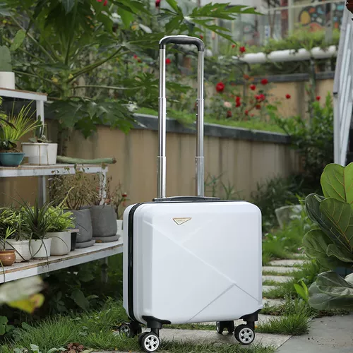 Брендовый универсальный чемодан, 18 дюймов, популярно в интернете, 16 дюймов