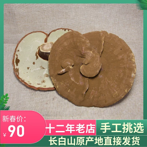 Ультра -long Baishan Ban Wild Ganoderma lucidum со спором розовой сосной сосны Ganoderma, посадившая численность chi ganoderma lingzhi.