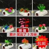 Блюда отеля холодные блюда декоративные цветы и растения контекст диск декоративный блюдо сашими