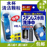 Nhật Bản Kobayashi Pharma Ấm siêu tốc Quy mô Chất tẩy rửa Cách ly Cốc trà nhuộm bằng thép không gỉ 8P - Trang chủ