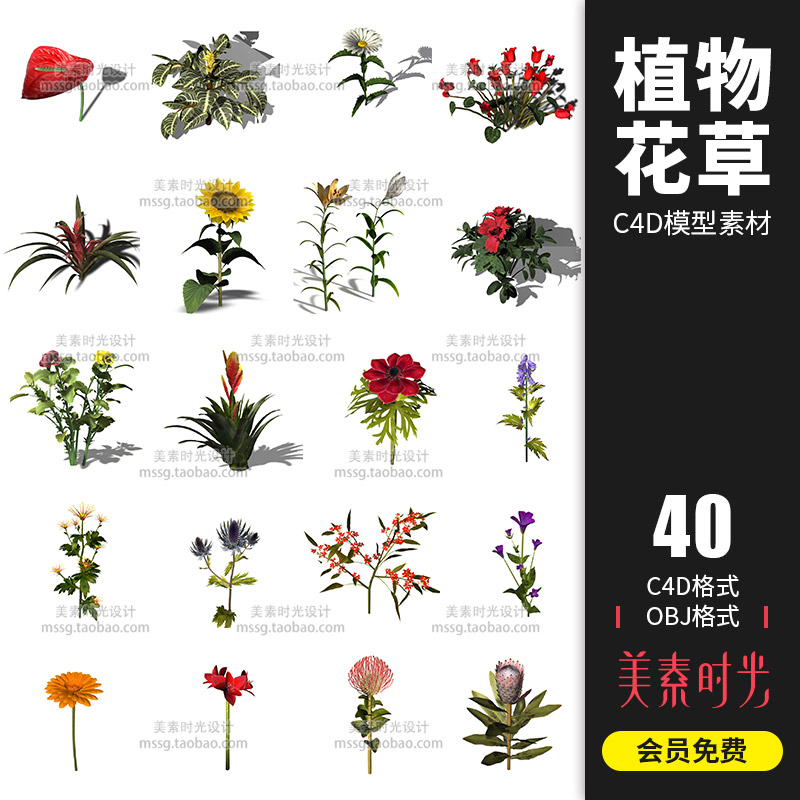 40组野外绿植植物向日葵红掌帝王花卉花草鲜花C4D模型素材-cg男孩