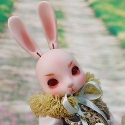 taobao agent COCOTRIBE's BJD doll ~ ~ 1/6 rabbit ROY（Rebecca's male version）