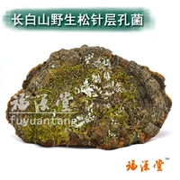 Fuyuan Tang Changbai Mountain Mountain Wild Colver Pobligher Wild Pine игла Ganoderma lucidum сосна шелковица шелковица 500 грамм