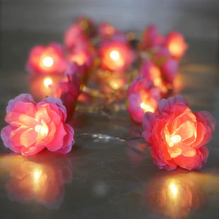 Layout, Creative Flashlight, LED Decorants, Flashing Light, Flowered