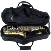 БЕСПЛАТНАЯ ДОСТАВКА American Protec Pulu Tai Max Max Saxak Bag MX304CT Mid -Sound Bag