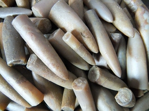 Натуральная стрелка камень Zhen Pen Shizhen Dan Kok Hokuskin Древняя биосковая раковина Hedochu Chrysanthemum Stone Fossil 8888