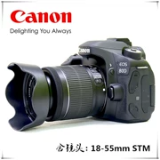 Máy ảnh DSLR Canon EOS80D của Ngân hàng Quốc gia 18-55mm Máy ảnh danh sách cao Canon 80D 18-200, 135 - SLR kỹ thuật số chuyên nghiệp