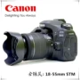 Máy ảnh DSLR Canon EOS80D của Ngân hàng Quốc gia 18-55mm Máy ảnh danh sách cao Canon 80D 18-200, 135 - SLR kỹ thuật số chuyên nghiệp máy ảnh mini