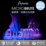 [Heo] Neturia MicroBrute25 bàn phím tinh khiết analog synthesizer key bàn phím MIDI giá đàn piano điện