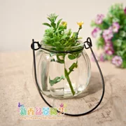 Spike mini treo bình nhỏ chai treo thủy tinh đơn giản Chai treo bằng dây có móc dây thủy canh - Vase / Bồn hoa & Kệ