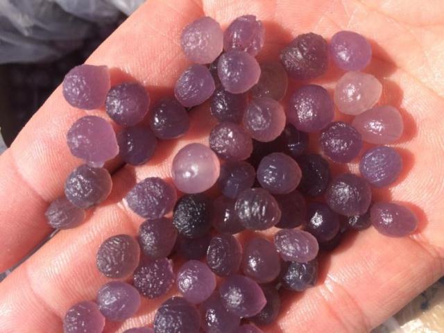 精品阿拉善戈壁玛瑙手串葡萄干玛瑙筋脉石紫色玛瑙紫罗兰单颗批发