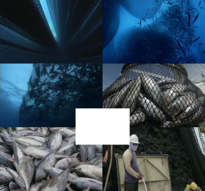 渔船捕捞视频素材远洋捕捞渔业渔民鱼渔网捕捞海鲜捕鱼船-淘宝网