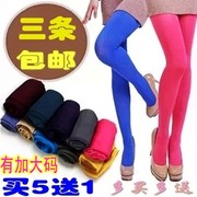 Mở tập tin thoáng khí mùa xuân và mùa thu kẹo màu pantyhose nữ chống móc nhung thậm chí vớ đã mỏng đáy vớ nữ