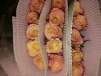 Kunming Dounan Wanwan Garden Flower Rose Rose Jinhui Оптовые 20 филиалов и один галстук ￥ 78, SF бесплатная доставка