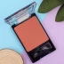 American Wet n Wild Wet và Wild Viterva Blush 32857 màu gạch mai để mua 2 trừ 5 - Blush / Cochineal phấn má hồng mac màu nào đẹp Blush / Cochineal