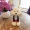 Mô phỏng Teddy Dog Doll Đồ chơi sang trọng VIP Dog Doll Ragdo Dễ thương Gối Quà tặng Cô gái - Đồ chơi mềm