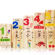 Đồ chơi domino cho trẻ em 100 miếng gỗ tròn hai mặt nhận biết kiến ​​thức xây dựng khối từ bé giáo dục sớm 3-6. - Khối xây dựng