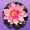 10cm mô phỏng hoa sen mô phỏng hoa lily nước trang trí cảnh quan hoa nhảy đạo cụ hoa bể cá nổi cây xanh - Hoa nhân tạo / Cây / Trái cây