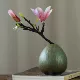 Đồ trang trí bàn trà, bình hoa nhỏ, trang trí nhà cửa, mini miệng thon cao cấp, văn phòng nghệ thuật cao cấp, cắm hoa phong cách Trung Hoa mới