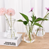 Объемные украшения 3 Установка Nordic Creative Living Room Стеклянная заглушка -В вазе прозрачная и простая гидрофоб сухой ваза