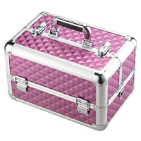 Небольшой фиолетовый (дефектное специальное предложение не возвращается или не обменивается)