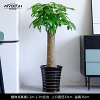 1,2 метра одного выстрела, чтобы создать богатство [в черной нити]