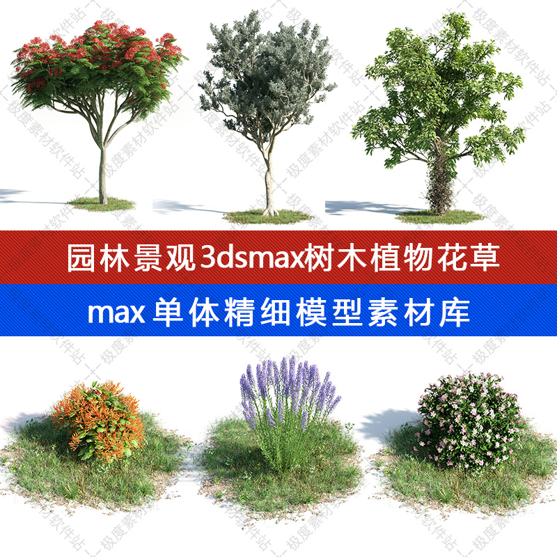 max园林景观3d树木植物花草3dsmax 3dmax专业单体精细模型素材库