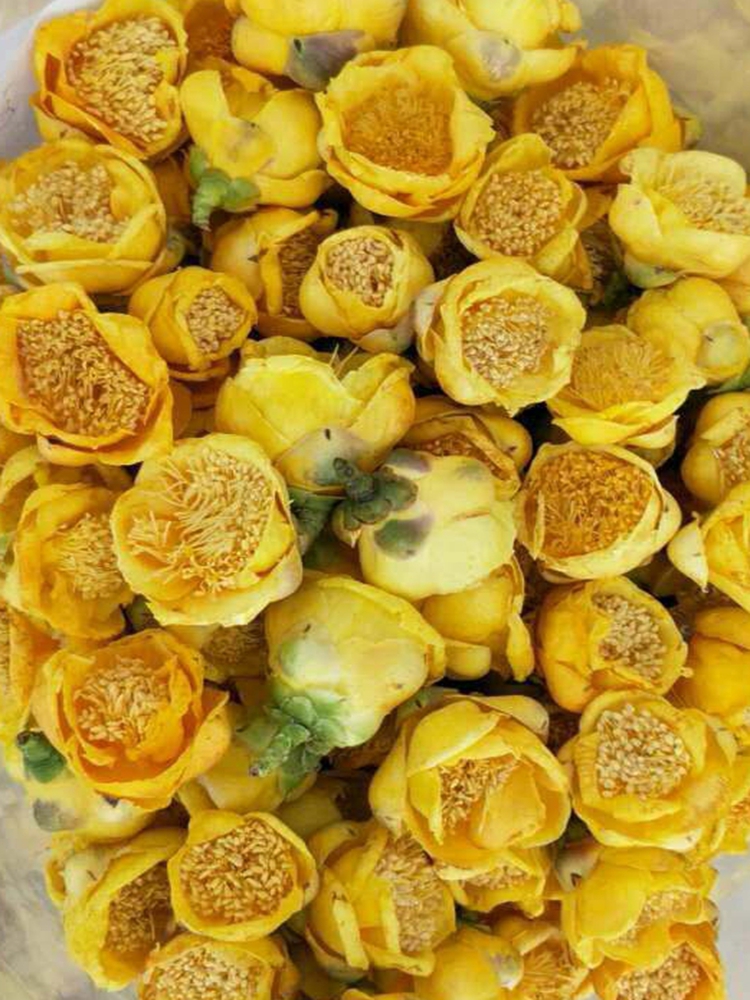 216 67 Guobao Golden Flower Tea Wild Super Class Guangxi Wild Camellia Dry Flower Tea Super Class Tree Fangcheng Golden Flower From Best Taobao Agent Taobao International International Ecommerce Newbecca Com