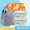 Ziruo nhà sức khỏe trọn gói giao hàng với túi gạo người lớn kính hình chữ nhật cầm tay túi ăn trưa kiểu Nhật đơn giản - Đồ bảo quản hộp thủy tinh đựng cơm