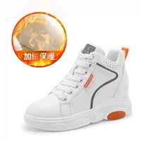 7009 Orange Plus Velvet High Gang