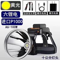 Литиевые батарейки, P1000, 100W