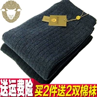 Mùa đông đôi dày cơ ấm quần nam cao eo cashmere quần cashmere kích thước lớn quần len mỏng quần len quan giu nhiet