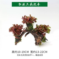 Hongbo Three Heads (Shenmu 12 ~ 20 см)