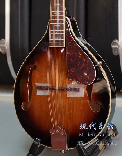 Современный музыкальный инструмент Fender Electric Sound Используйте мандангзу для взрослых детей и мужская женская электрическая коробка мандолина