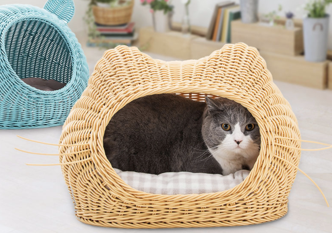 创意舒适狗窝,给狗狗带来全新的感官体验