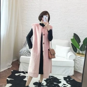 Áo khoác lông kiểu Hồng Kông một chiếc áo vest nữ dài 2018 thu đông mới phiên bản Hàn Quốc của áo khoác không tay đơn cổ chữ V